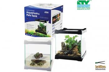 Mini-Aquarium aus Glas 16 x 16 x 16 cm schwarz